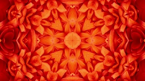 Abstract Red Background Stock Footage 73544579