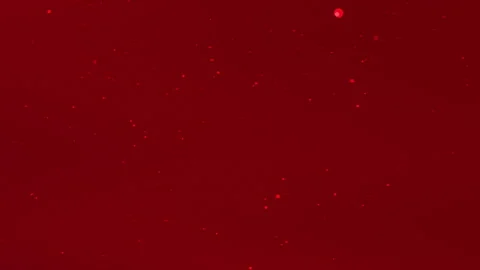 Abstract red background with scattered luminous particles Stock Footage 313040573