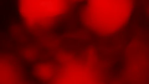 Abstract red background video, copyspace, festive background. Stockbeeldmateriaal 165287140