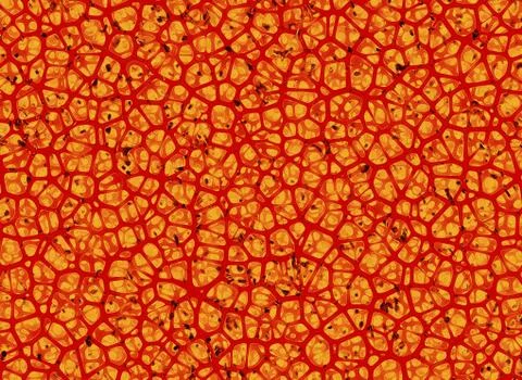 Abstract red bio cells background Stock Illustration