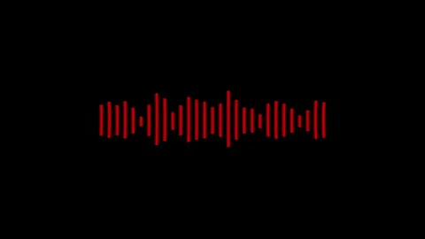 Abstract red on black sound waves background. Audio waves equalizer Stock Footage 304175806