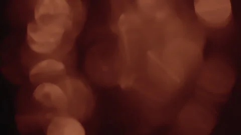 Abstract red bokeh light leaks background overlay Stock-Footage 340610954