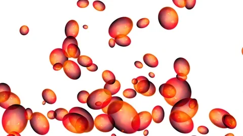 Abstract red bubbles float on white background motion video Stock Footage 101680045