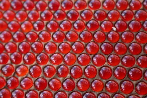 Abstract Red Bubbles Stock Photos