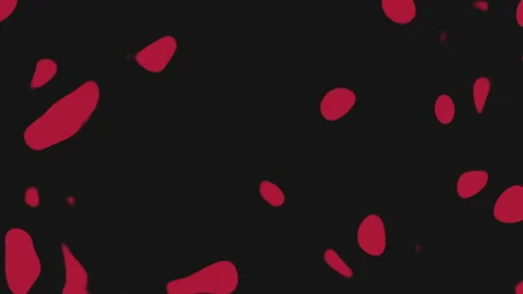 Abstract red dot pattern on black background - enigmatic artwork Stock Footage 289220014