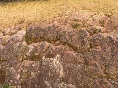 Abstract Red Earth Surface Texture Background Stock Photos
