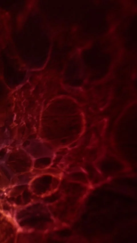 Abstract red efect Stock Footage 322626805