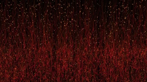 Abstract Red Fireflies Rising from Grass Stock Footage 70982826