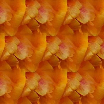 Abstract red floral background, pattern イラスト素材