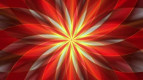 Abstract red floral pattern effect Stock Footage 11641007