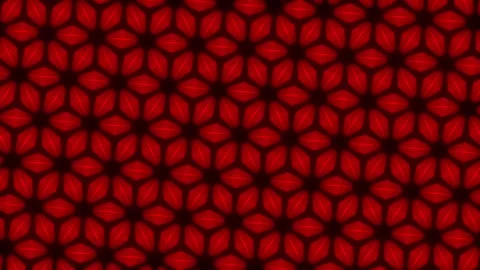 Abstract red floral pattern with geometric hexagon flower shapes and dark c.. Vídeo Stock 347585000