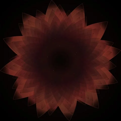 Abstract Red Flower Bloom Mandala Fractal Motion Background Loop Stock Footage 346281666