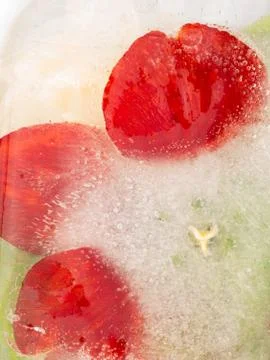 Abstract red flower Stock Photos