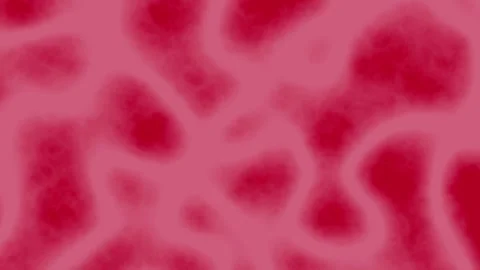 Abstract red fluid animation motion graphics. Stock Footage 304655681
