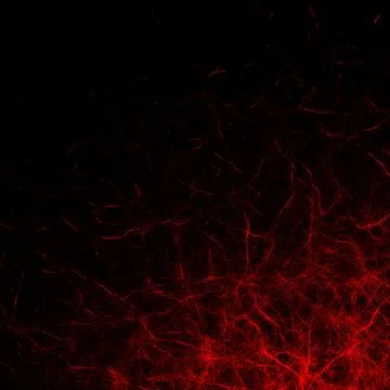 Abstract Red Fractal Network Stock Illustration