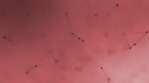 Abstract red geometrical background with black lines and dots Video stock 66856466