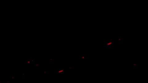 Abstract Red Glowing Particles Floating on Dark Background 스톡 동영상 330920173