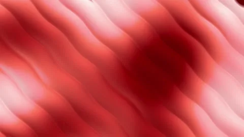Abstract Red Gradient Background with Soft Blurred Organic Shapes Stock Footage 340776148