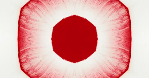 Abstract red hexagon circle spreads in water on the white background. Liquid Stock Footage 136299501