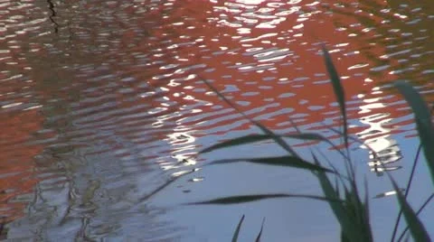 Abstract red house reflections background on  water Stock Footage 12614707