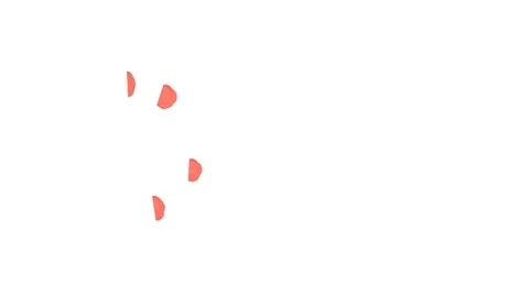 Abstract Red ink drop  on a white background for effects with Alpha V3 Video stock 94520153