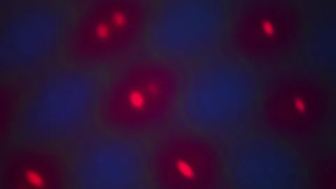 Abstract red laser dots moving over dark blue blurred background in dark. Stock Footage 346353409