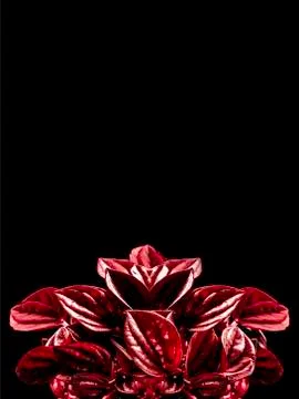 Abstract Red Leaves Foto stock