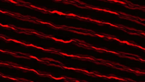 Abstract red lines on black background in a flowing pattern Stock-Footage 338293545