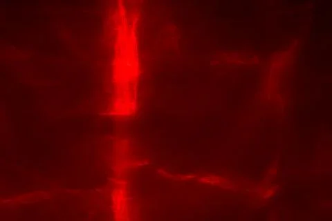 Abstract red lines drawn by light on a black background Stock Illustration