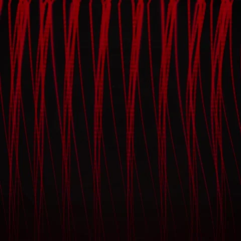 Abstract Red Lines Flowing Down Black Background - Digital Art Stock Footage 347812305