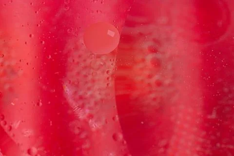 Abstract red liquid with bubbles and a single larger droplet, creating a un.. Stock Photos