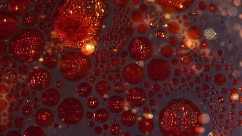 Abstract red liquid sparkling bubbles spreading on a clear bokeh background Video stock 118285786