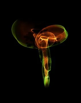 Abstract red orange green gradient smoke fire over black background with tree Stock Illustration