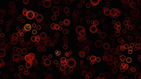 Abstract red organic bokeh particles drifting against black background with.. 스톡 동영상 341691163