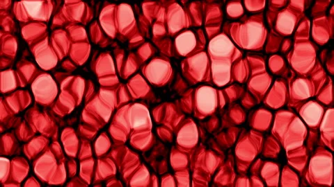 Abstract Red Organic Cellular Texture Microscopic Biological Background Stock Footage 341874497