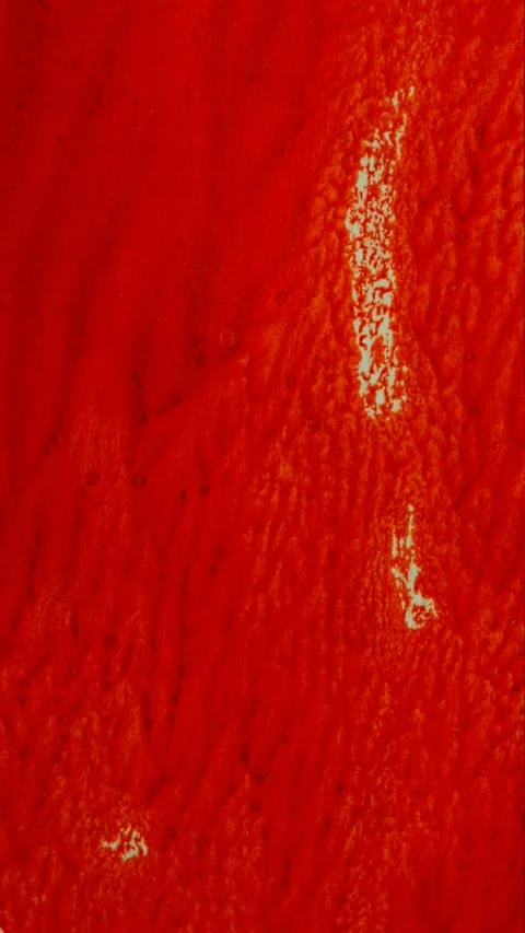 Abstract red paint art. Creative art pattern for design and advertising Stock Footage 297647097