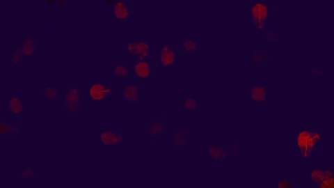 Abstract red particles floating against dark purple background with cinemat.. Stock Footage 340943816