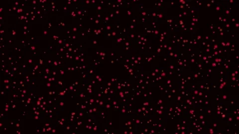 Abstract Red Particles Moving Slowly In Dark Space With Subtle Light Effect.. 库存影片 343419458