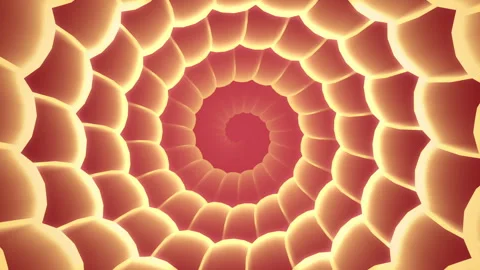 Abstract Red Spiral Cartoon Shell Radial Animation Stock-Footage 242501555