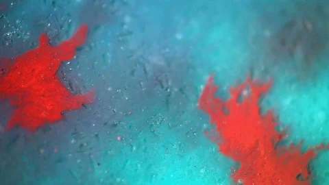 Abstract red and blue Liquid Background video, Footage