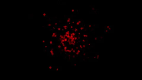 Abstract red square particles exploding in a seamless loop Stock Footage 317549761