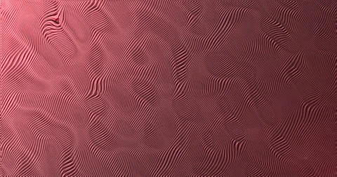 Abstract red waves motion graphic background Stock Footage 281180229