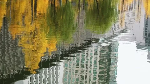 Abstract Reflection of Autumn Trees and Buildings in Water Video stock 311529723