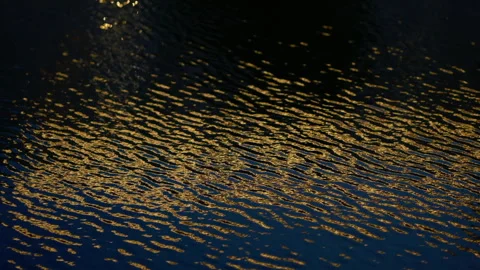 Abstract reflection of golden on blue water Видео 341935149