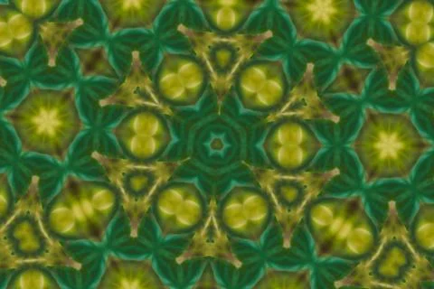 Abstract reflection of green leave and yellow flower for background use Stock Illustration