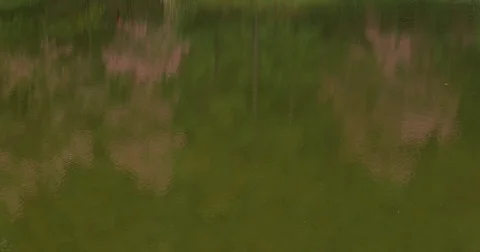 Abstract reflection green tree in ripple surface water Stock Footage 84196512