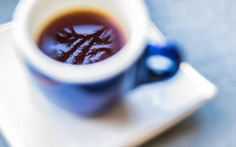 Abstract reflection of palm tree branches in a cup of coffee on a saucer, c.. Photos