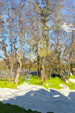Abstract Reflection Of Park Trees And Sky In Mirrored Surface Stock Photos