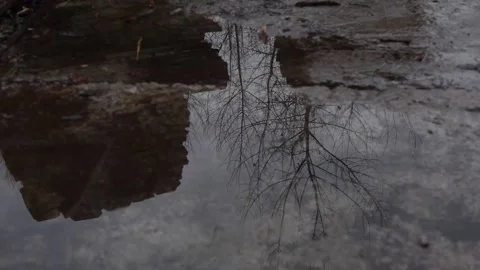Abstract reflection in a rain puddle of sky and trees. Stock Footage 167679366