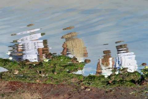 Abstract Reflection in a Tide Pool Stock Photos